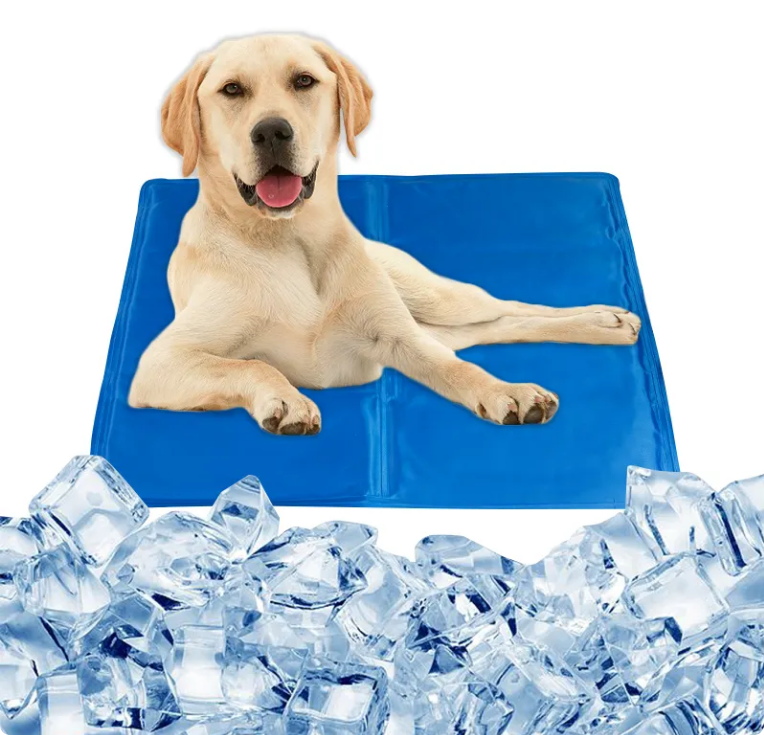 Perro descansando sobre manta refrescante