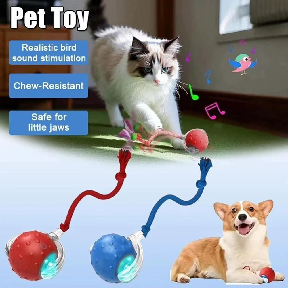 Electronic Interactive Cat Ball USB Rechargeable Smart Self Rolling Ball Cat Toy for Indoor Outdoor